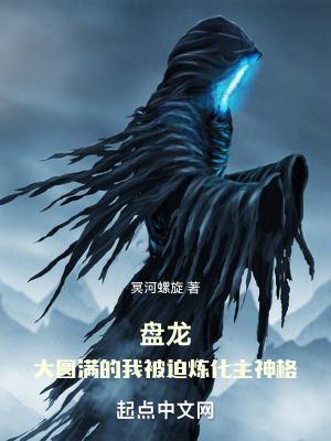 盘龙:大圆满的我被迫炼化主神格