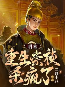大明：我崇祯，左手枪右手炮