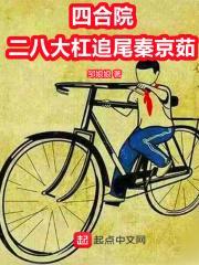 四合院:二八大杠追尾秦京茹