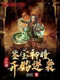 鉴宝神瞳:从捡漏开始逆袭